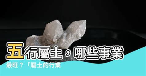 土類工作|五行屬土的行業有哪些